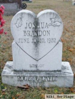 Joshua Brandon Beyer