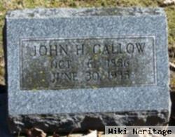 John Henry Callow