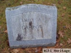 Emily A Garrow