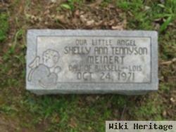 Shelly Ann Tennyson Meinert