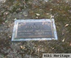 Michael Mark Mayes