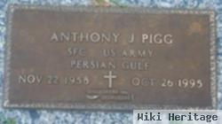 Anthony J. Pigg