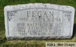 Joseph William Fegan