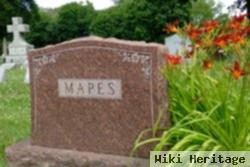 Lois Ilene Mapes Krenz