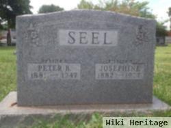 Peter B. Seel