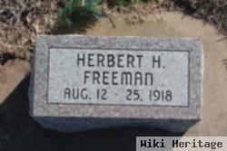 Herbert H. Freeman