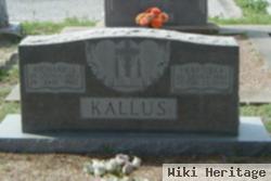 Richard J Kallus