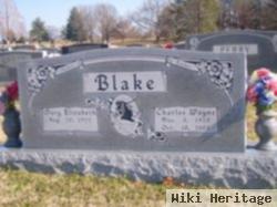 Mary Elizabeth Blake