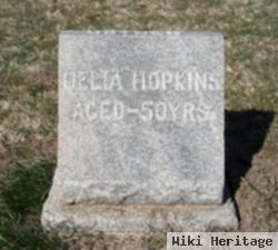 Delia Green Hopkins