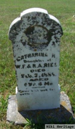 Catharina R. Ries