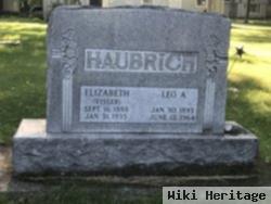 Elizabeth H. Visser Haubrich