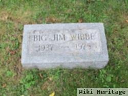 James J Wibbe