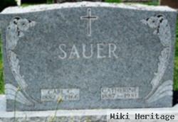 Carl C Sauer