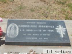 Guadalupe Rios Martinez