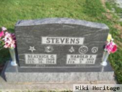 Harold Ford "steve" Stevens