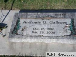 Anthonie Gary Gallegos