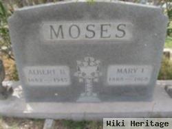 Albert B Moses