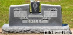 Ernest Wheeler Briley