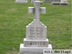 Howard Griffith Switzer