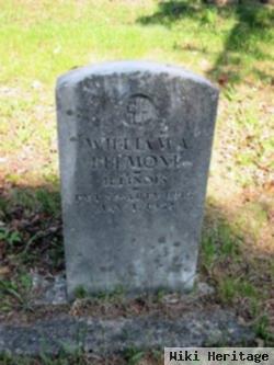 William A. Belmont