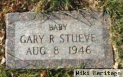 Gary R Stueve