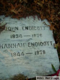 Hannah Endicott