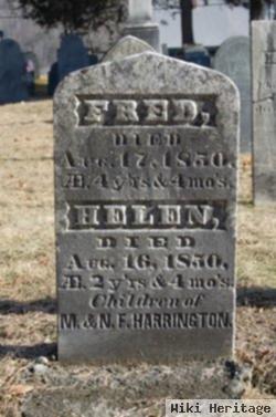 Fred Harrington