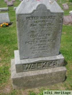 Peter Walker