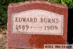 Edward Lagan Burns