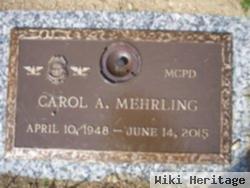 Carol Ann Mehrling