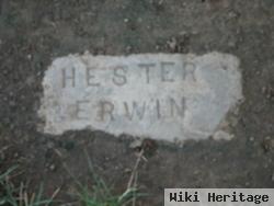 Hester Erwin