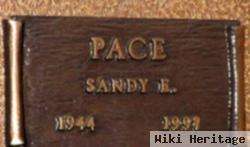 Sandy E Pace