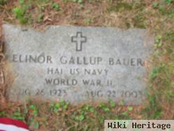 Elinor C Gallup Bauer