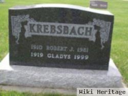 Robert J. Krebsbach