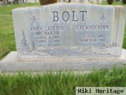 Leland Eddy Bolt