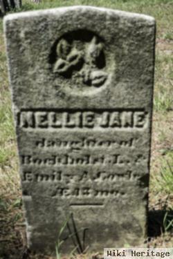 Nellie Jane Cowles