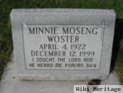 Minnie Moseng Woster