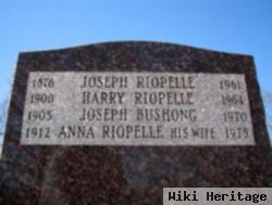 Joseph Harry Riopelle