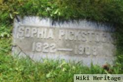 Sophia P Phillips Pickstock