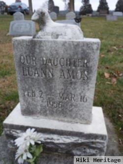 Luann Amos