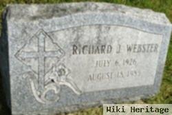 Richard J Webster