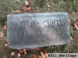 Anthony Curtis