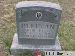 Herbert S. Pelikan