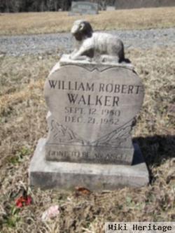 William Robert Walker