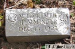 Milo L. Hemminger