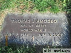 Thomas J. Amodeo