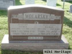 Kalman Wolarsky