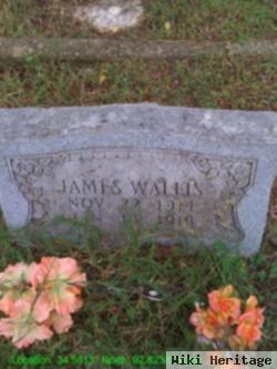 James Wallis