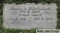 Fermin Roman Escanuelas