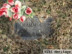 William Carroll Hammock